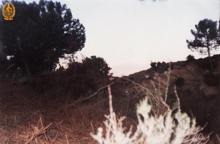 GOE II 1996 117.jpg - LEAD Technologies Inc. V1.01